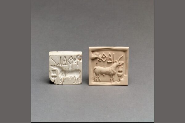 Why No One Can Read the Indus Script Yet