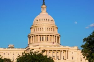 Why Most Bills Never Become Law